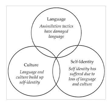 Consequences of language loss