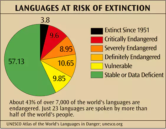 Languages at risk